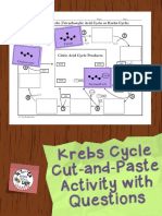 Krebs Cycle Cut-and-Paste Activity With Questions