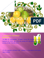 YOGURT ARAZA