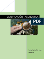 Clasificación taxonómica