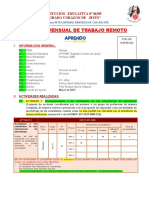 Informe Pedagógico