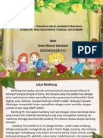 Status Faali Terhadap Induk Kambing Peranakan by Dewi Risma Wardani