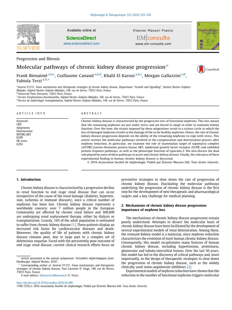 Molecular Pathways of Chronic Kidney Disease Progression Sciencedirect
