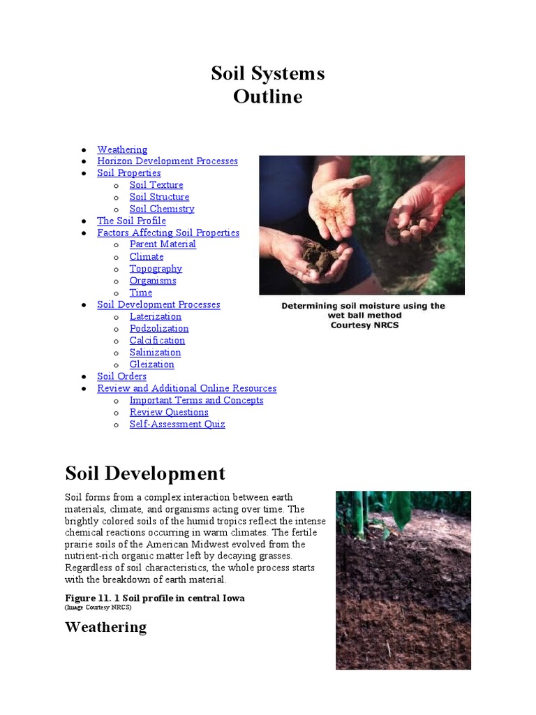 Understanding Soil Development Processes | PDF | Soil | Weathering
