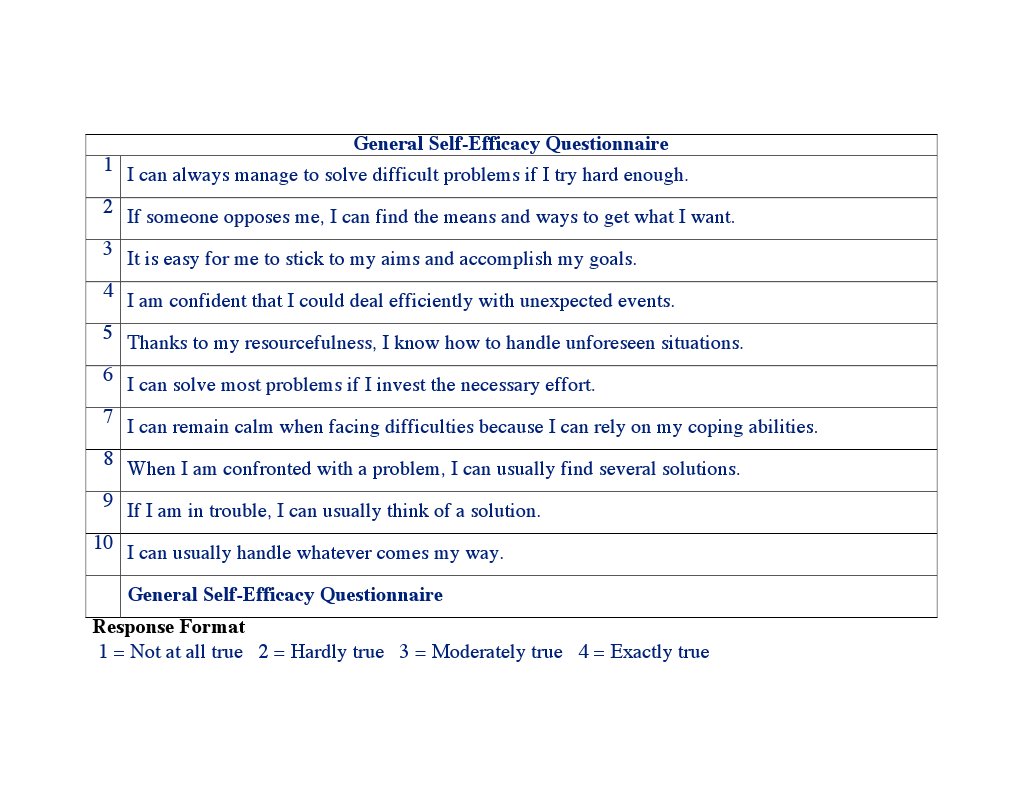 General Self-Efficacy Assessment | PDF