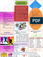 Leaflet Kespro Remaja