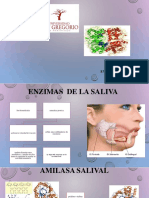 Diapositivas