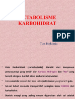 Metabolisme Karbohidrat