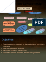 Cell Division: Concept Map