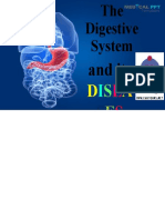 The Digestive System