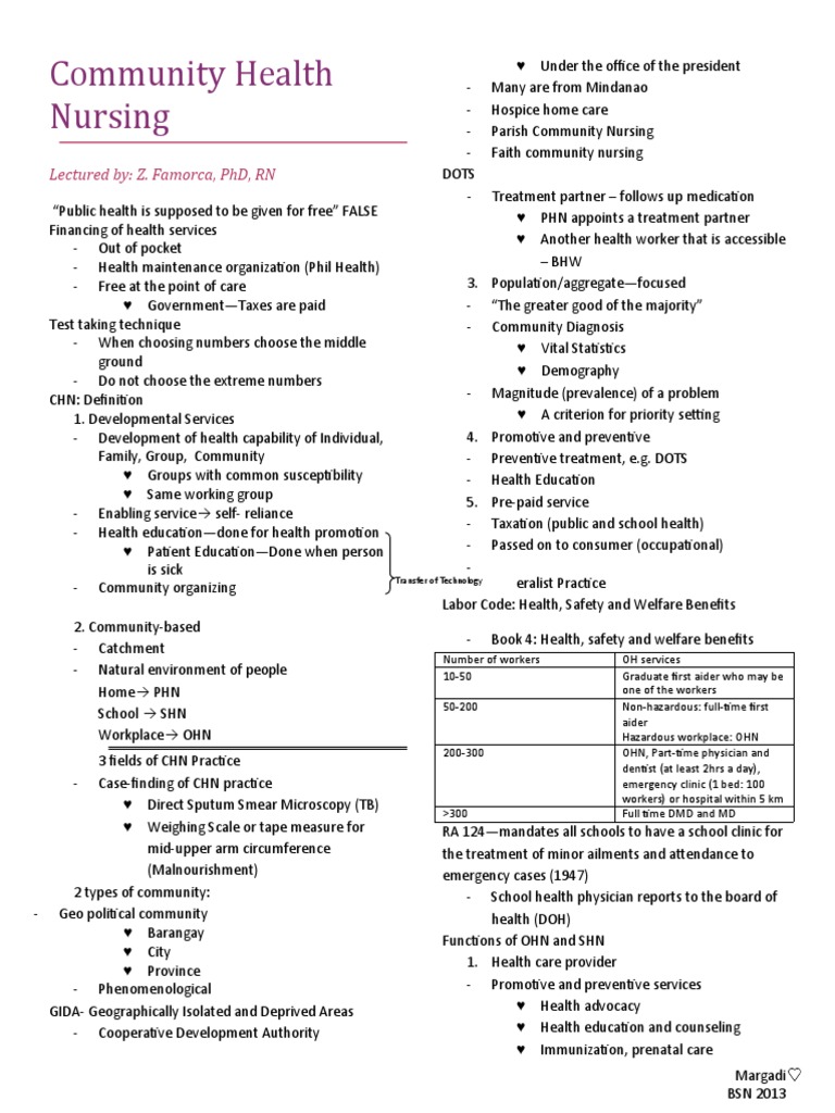 Community Health Nursing Overview | PDF | Health Care | Preventive ...