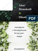 Kelompok 4 - Akar Monokotil & Dikotil - PPT Anatomi Tumbuhan