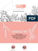 Reg2. 19F - Amylum - Praktik Farmakognosi