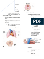 The Cardiovascular System: Anatomy and Physiology of the Heart