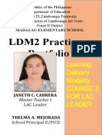 LDM Practicum Portfolio Mts Lac Leaders