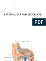 External and Middle Ear