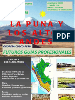 La Puna y Los Altos Andes 2