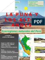 La puna y los altos andes 3