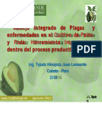 Enfermedades Del Palto 2016