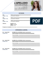 93 Curriculum Vitae en Blanco