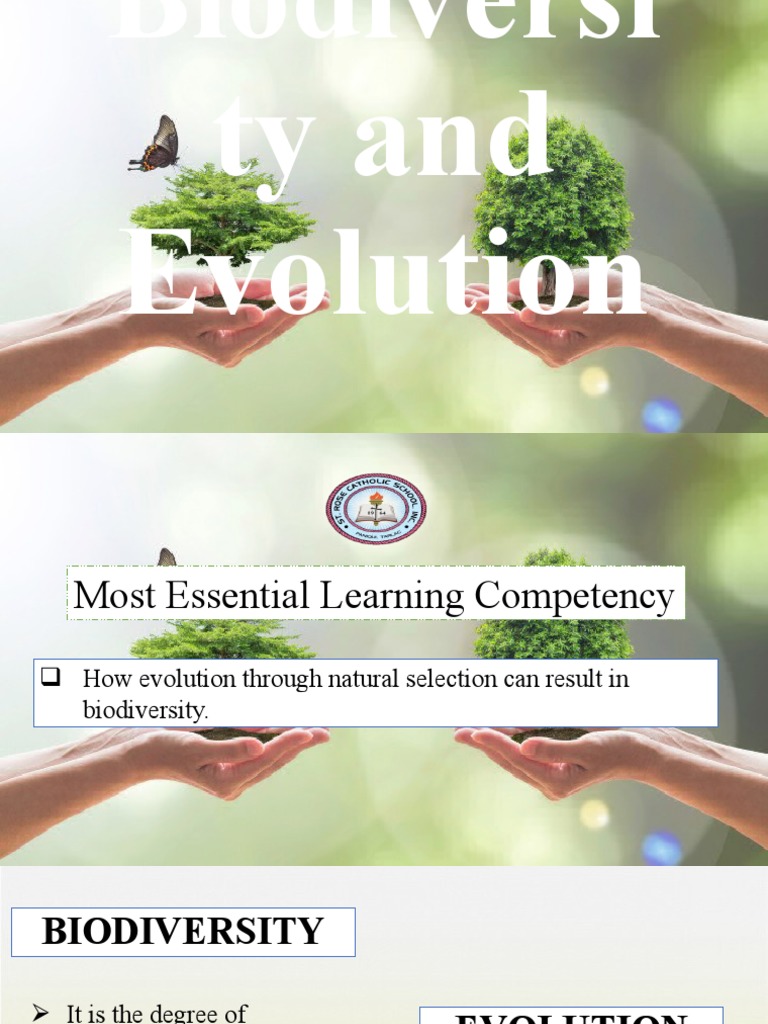 Lesson 2 Biodiversity and Evolution | PDF | Evolution | Natural Selection