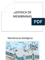 Biofisica de Membranas