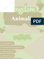 Kingdom Animalia