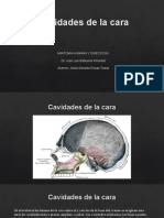 Cavidades de La Cara