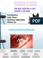 Tarea N°12 de Parasitología
