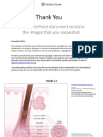Thank You: This Powerpoint Document Contains The Images That You Requested