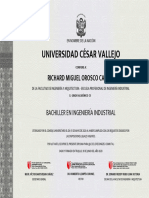 Universidad César Vallejo: Richard Miguel Orosco Calero