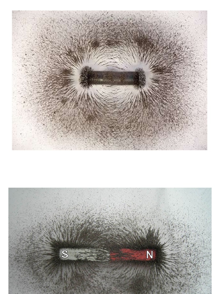 Field Visualizer PDF