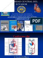 4 - Cardiovascular