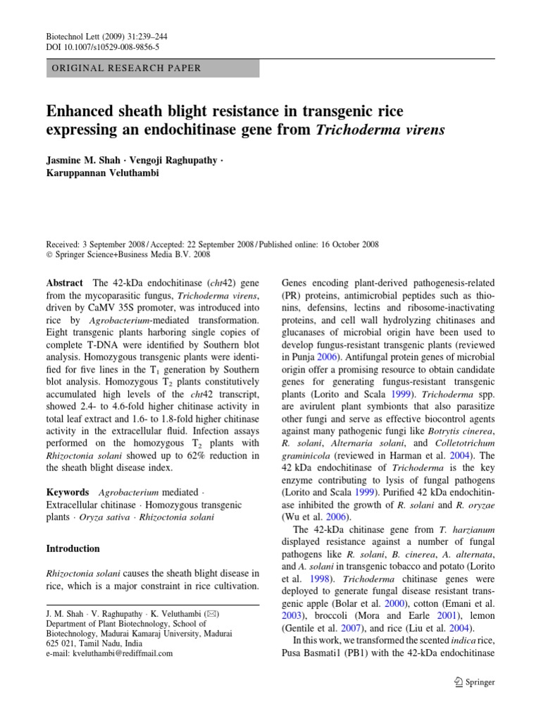 Enhanced Sheath Blight Resistance in Transgenic Rice Expressing An