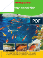 Healthy Pond Fish: Guide