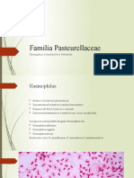 Familia Pasteurellaceae (1)