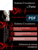 Sistema Circulatorio -03