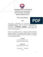 Evaluación Agronómica de Plántulas de Pachaco, Cedro de Montaña, y Guachapelí, Utilizando Tres Su