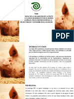 Importancia de La Vacunación de La Peste Porcina Clásica en Babahoyo en El Barrio Los Laureles Con Su Repercusión en La Salud Pública y Economía en El Ecuador