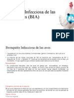 Bronquitis Infecciosa de las aves (BIA)