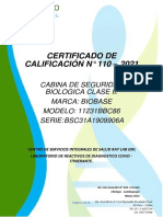 Certificado de Calificacion 110 - 2021 Ray Lab