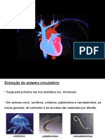 Sistemas de Transporte Cardiovascular 2021 (2)