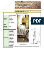 Ficha Ndeg13 Controlador Biologico Apanteles Camachoi