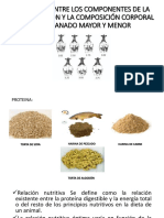 Clase 2 Nutrición