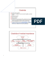 Clostridia: Gas Gangrene, Tetanus, Botulism & Pseudo-Membranous Colitis