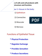 There Are Four 1 Tissues in The Body:: Tissue A Group of Cells and Cell Products With Similar Structure and Function