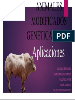 Animales Modificados Genéticamente