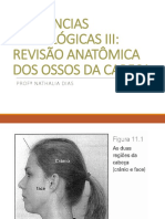 INCIDÊNCIAS RADIOLÓGICA III - Revisão Anatômica Ossos Da Cabeça