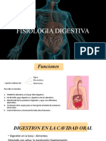 Fisiología Digestiva T