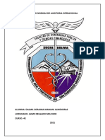 Normas de Auditoria Operacional