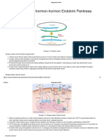 Insulin Dinamika